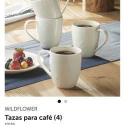 Tazas De Princess House