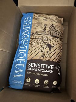 Wholesome Sensitive Stomach Salmon Dry Dog Food