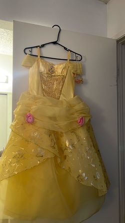 Beauty and the beast costume