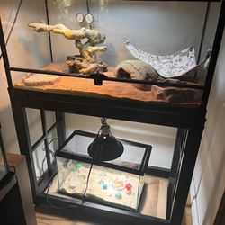 40 Gallon Reptile Tank 