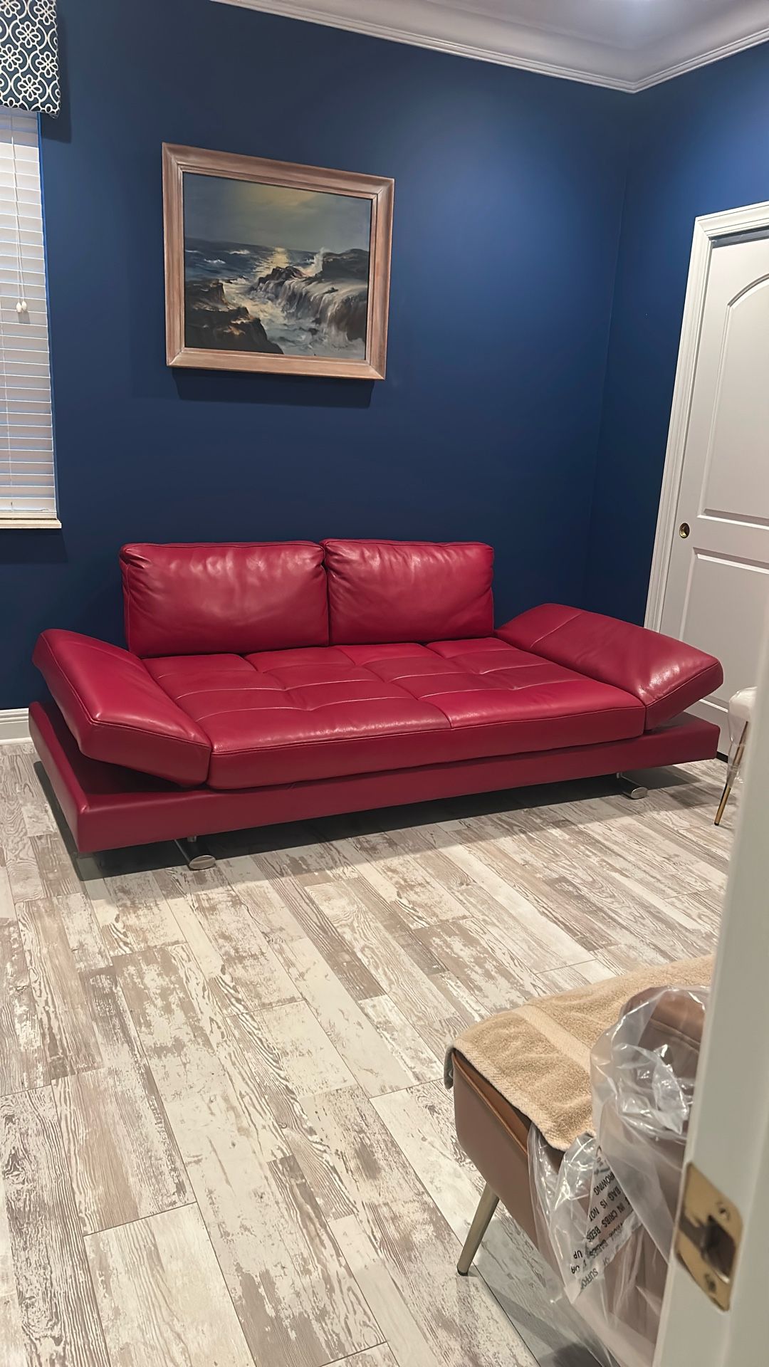 Red Sofa Couch