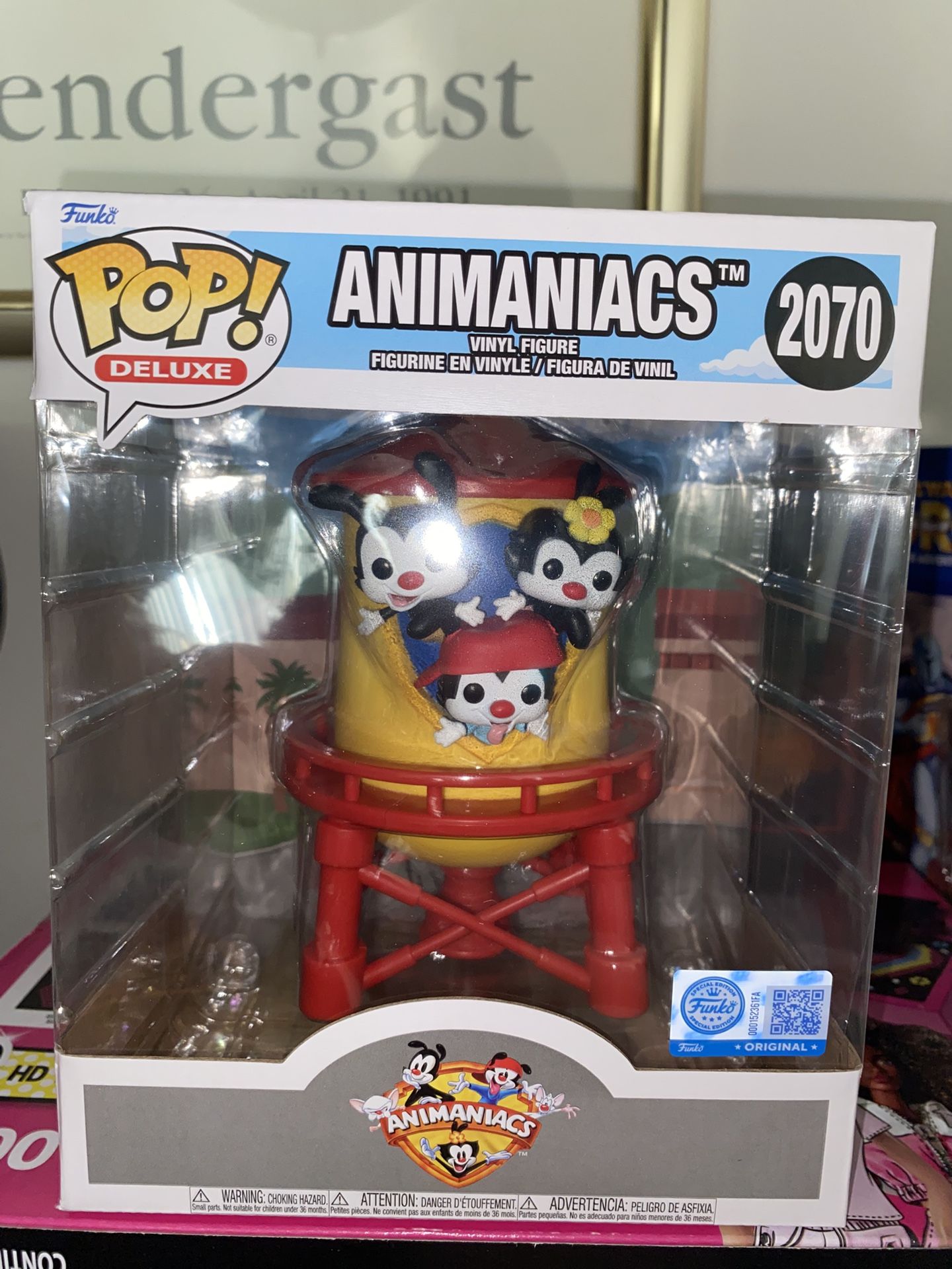Funko Pop Funko Hollywood exclusive Deluxe Animaniacs in Warner Bros Water Tower