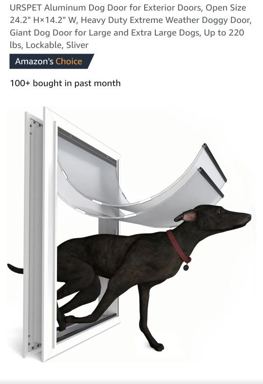 Large Dog Double Flap Dog Door