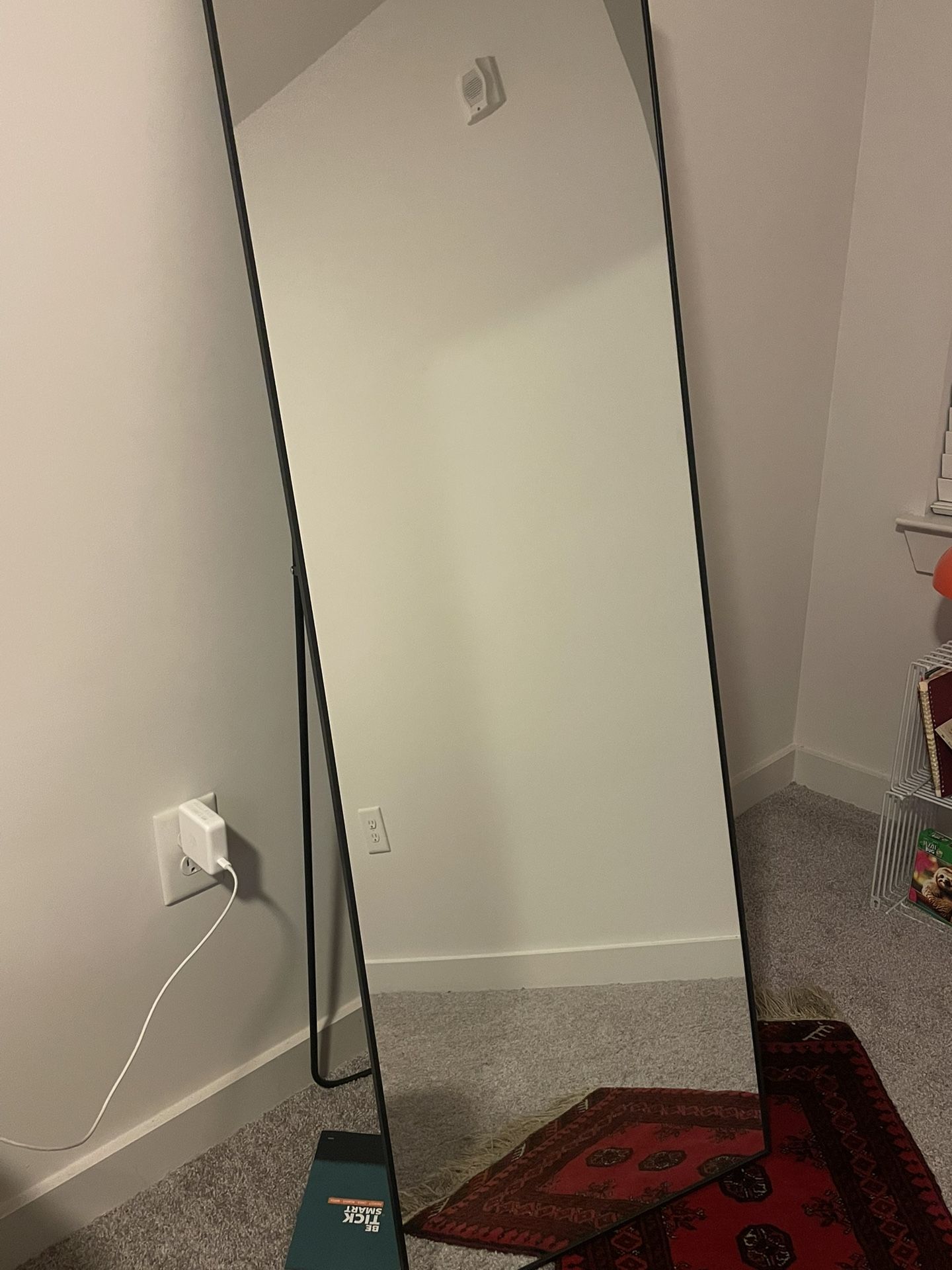 Full-body Floor Mirror