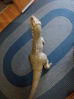 Big dinosaur