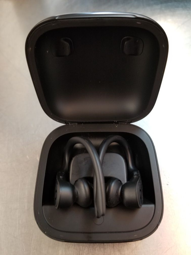 Beats Pro EarBuds Fcp2216