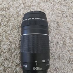 Canon EF 75-300mm Zoom Lens!