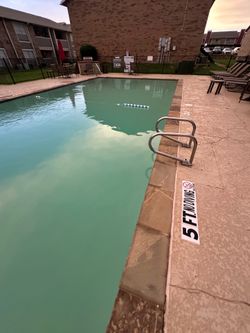 Pool green one time clean free estimate
