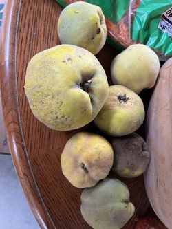 Membrillo Quince Fruit