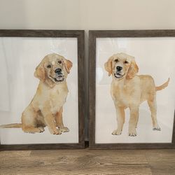 Golden Retriever Art Prints