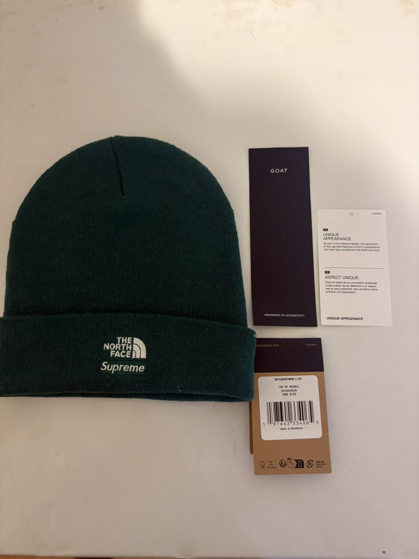 Supreme x The North Face Beanie 'Green'