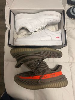 Size 11.5