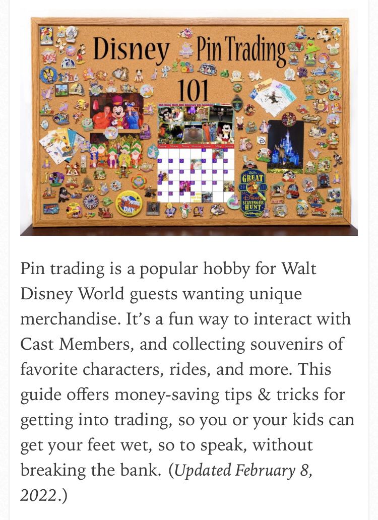 Disney Pin Trading Lanyard 
