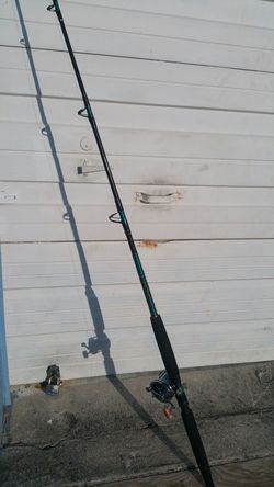 Penn Senator game fish with custom 7ft rod