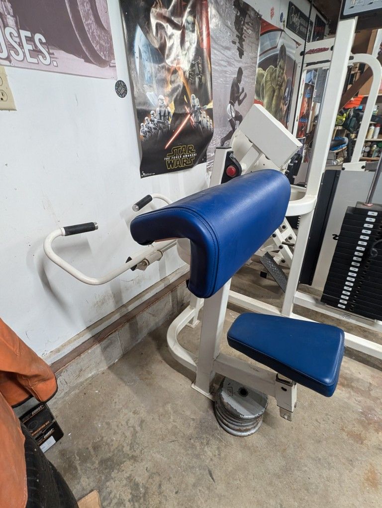 Life Fitness Pro Preacher Curl