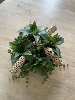 Beautiful Decorative Bowl with Realistic Succulents