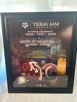 Texas A&M National Champions Framed Fanatics Authentic Collectible