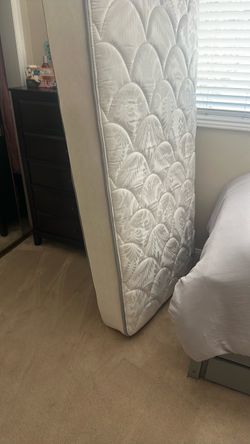 Queen Quilted Mattress