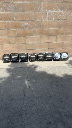 Wilson Basketballs