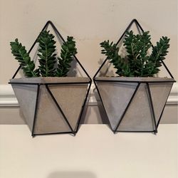 Hanging Plants Deco