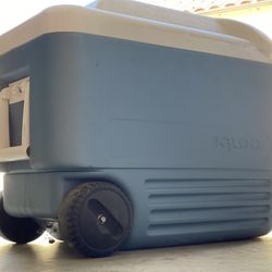 40 QT IGLOO COOLER !