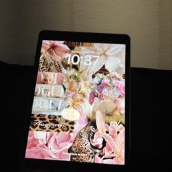 10Th Generation, Apple Ipad