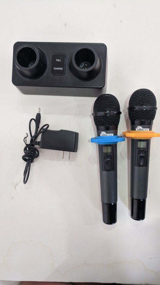 Karaoke Mic Set Of 2 With Charger