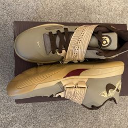 KD Year Of The Dragon 10.5