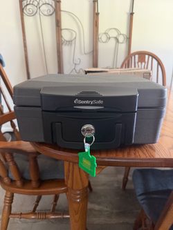 Sentry safe