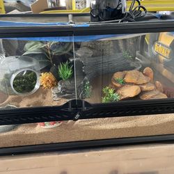24x18 Reptile tank and accessories