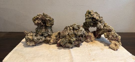 Dry “life rock” for aquarium