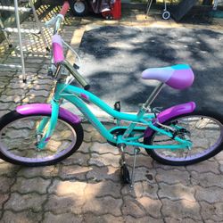 20 Inch Sunnyside Bike
