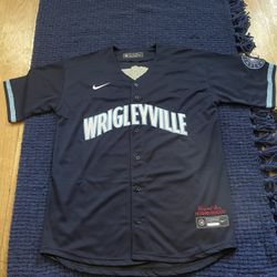 Cubs Jersey