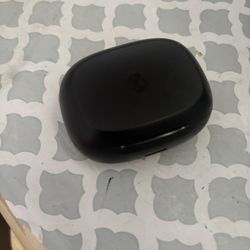 Skull wireless earbuds