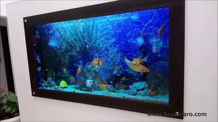 Wall Fish Tank