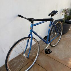 Windsor Fixie