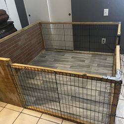 Dog Cage 