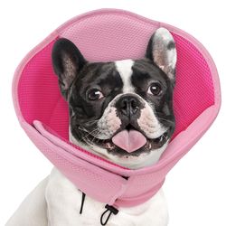 Dog Cone Collar Medium