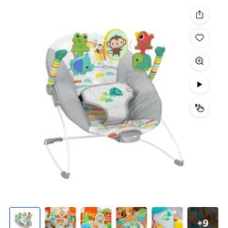 Baby Bouncer 