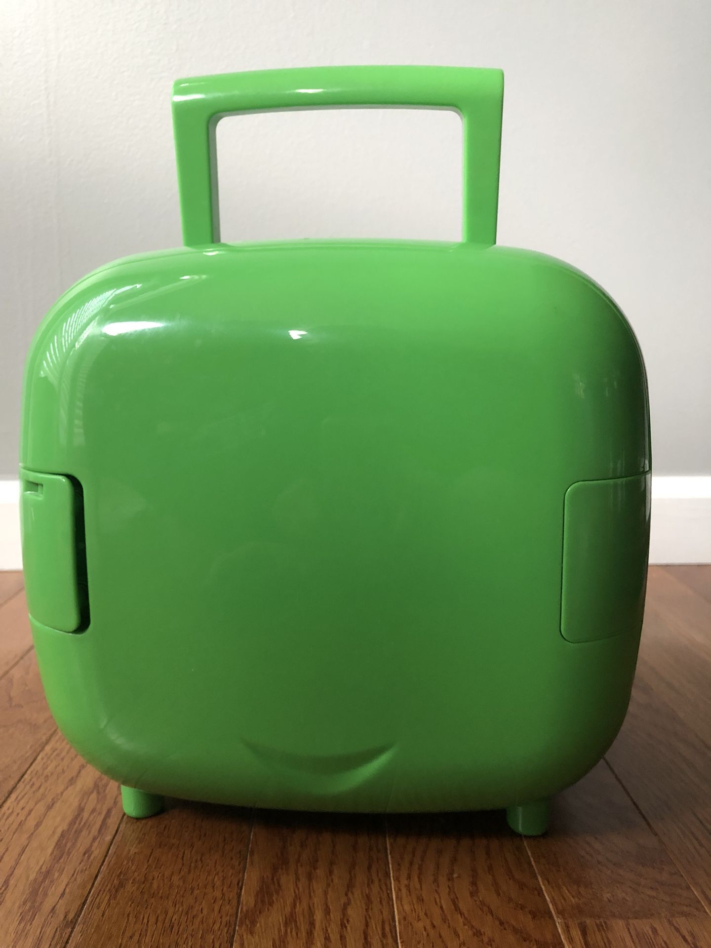 Mini Portable Fridge