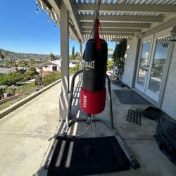 Punching Bag & Stand 