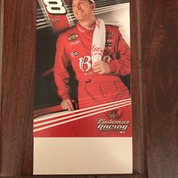 Brand New Dale Jr Table Top Standup