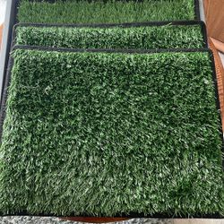 Pet Green Spot NEW