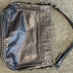 Coach Pewter Color Bag