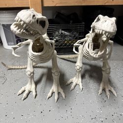 Pair Of T-Rex Dinosaur Skeletons Perfect For A Dino Party 
