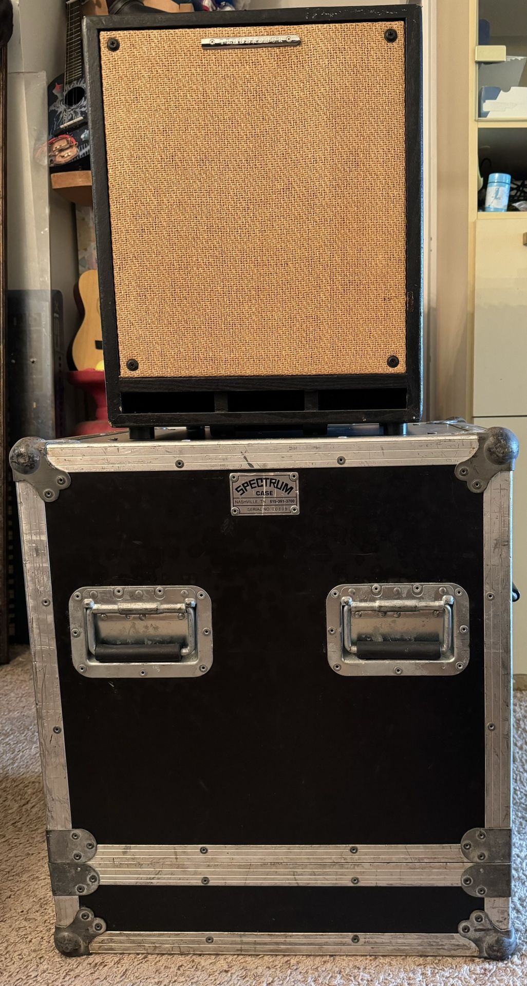 Ibanez Troubadour T80-H T80 80W 2x8 Troubadour Acoustic Combo Amp 2 ch - $245