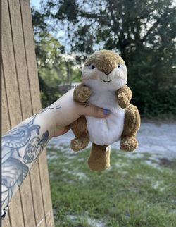Webkinz Chipmunk