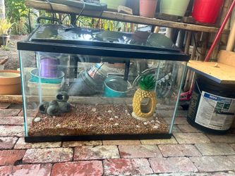 20 Gallon fish tank