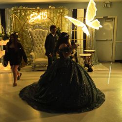 navy blue butterfly sparkly quince dress 