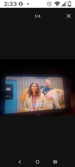 Sony Bravia Flat Screen TV with remote!